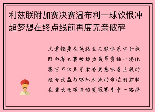 利兹联附加赛决赛温布利一球饮恨冲超梦想在终点线前再度无奈破碎 利兹联附加赛决赛温布利一球饮恨冲超梦想在终点线前再度无奈破碎