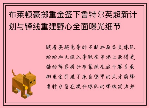布莱顿豪掷重金签下鲁特尔英超新计划与锋线重建野心全面曝光细节